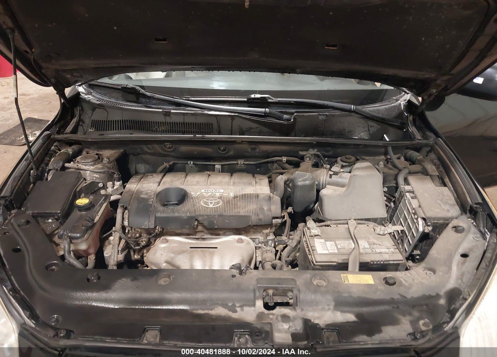 2009 TOYOTA RAV4 VIN: JTMBF33V695002531