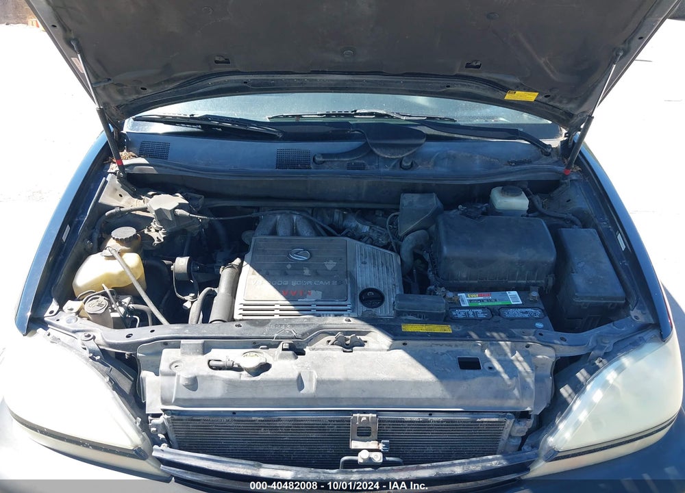 2002 LEXUS RX 300 VIN: JTJGF10U920125374