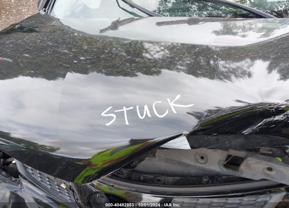 2013 TOYOTA RAV4 LE VIN: 2T3BFREV0DW016569