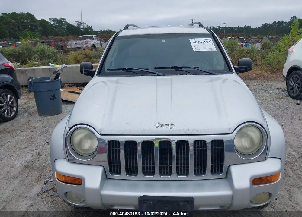 2004 JEEP LIBERTY LIMITED EDITION VIN: 1J4GK58K64W256023