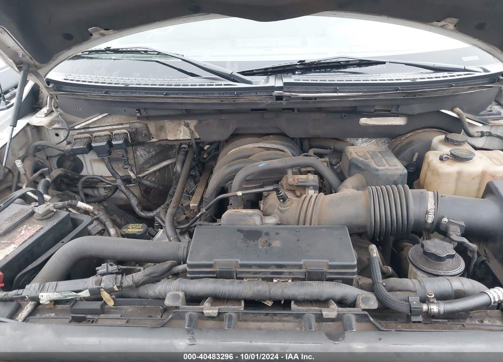 2009 FORD F-150 STX/XL/XLT VIN: 1FTRX12849FA78870