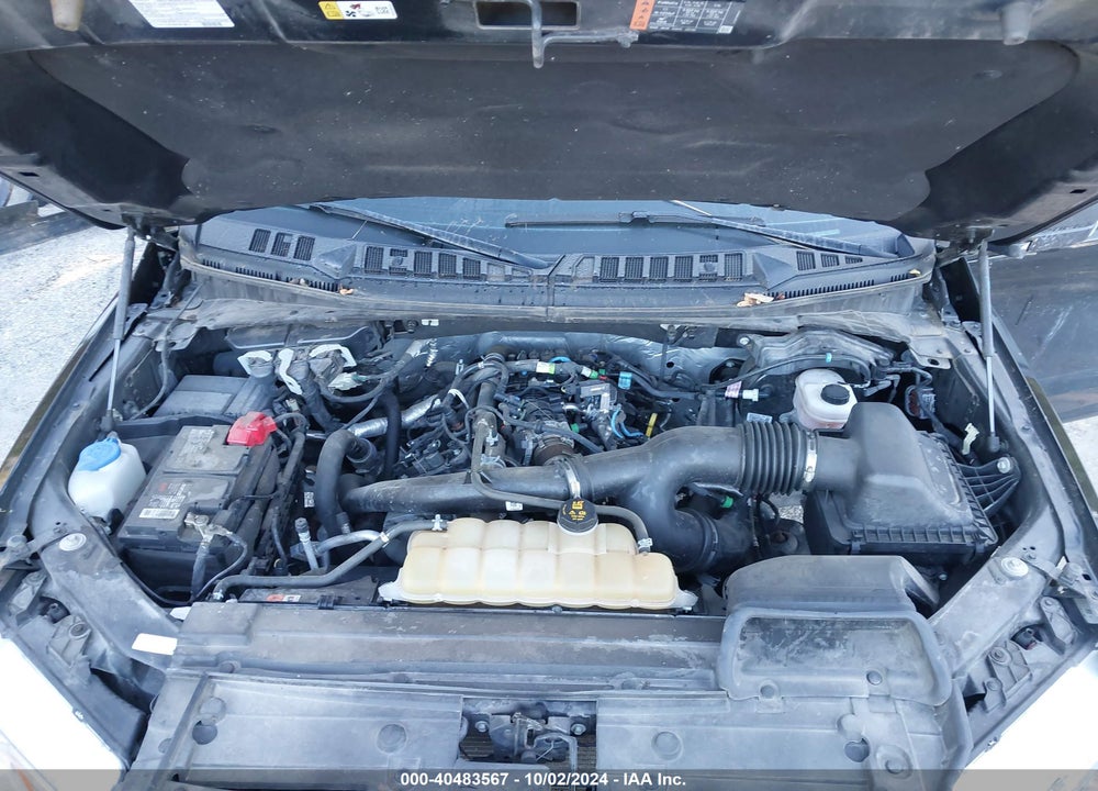 2019 FORD F-150 XLT VIN: 1FTEX1EP0KKD80350