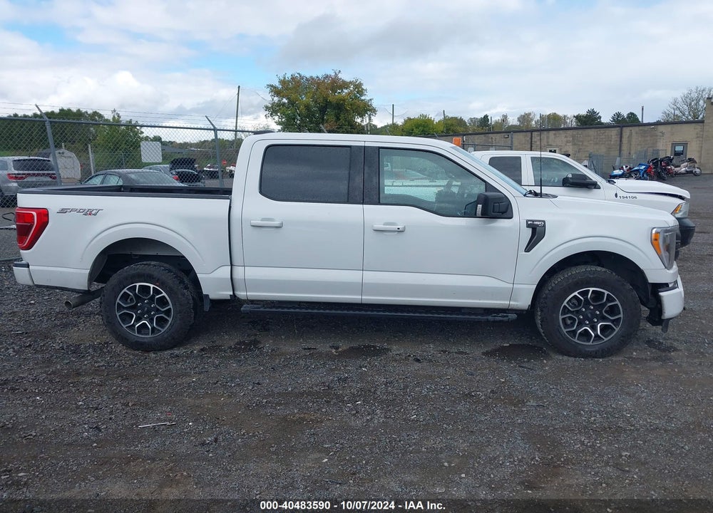 2023 FORD F-150 XLT VIN: 1FTFW1E57PFC03784