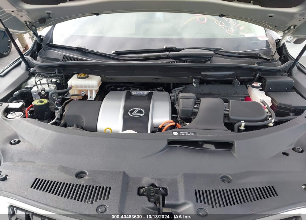 2020 LEXUS RX 450HL VIN: JTJHGKFA3L2013938