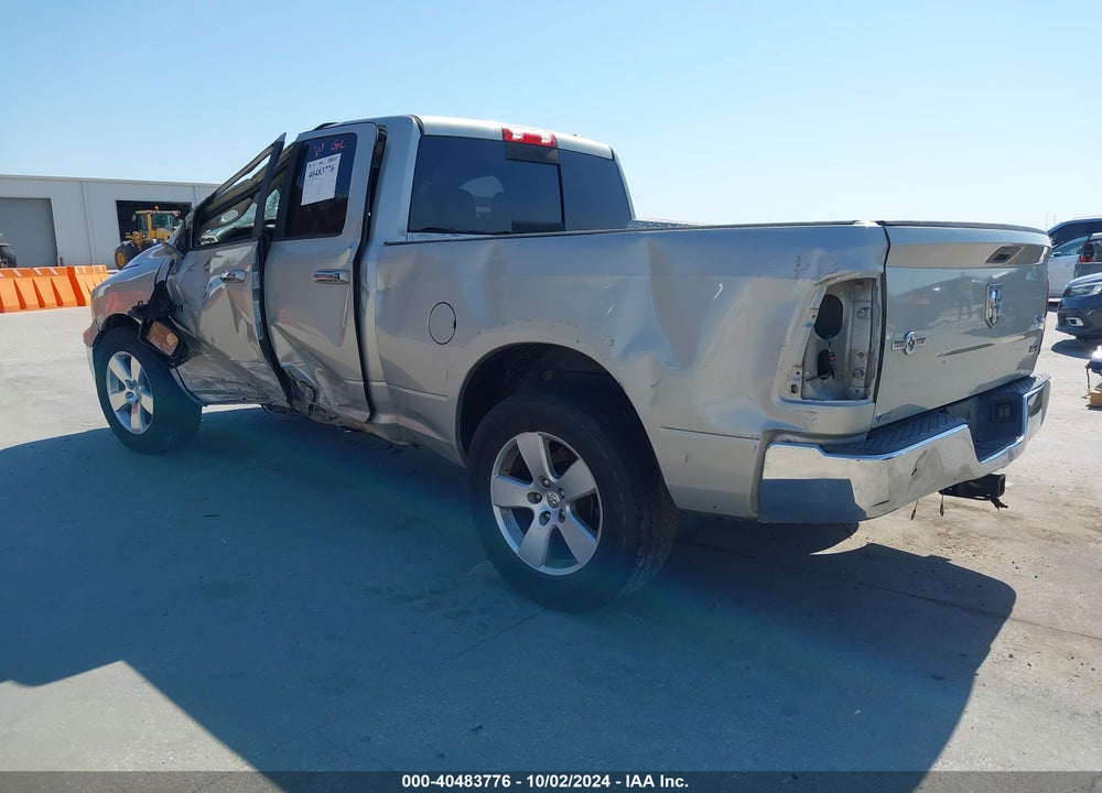 2010 DODGE RAM 1500 SLT/SPORT/TRX VIN: 1D7RV1GP3AS197713
