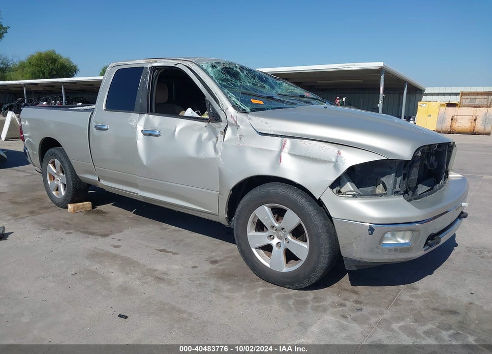 2010 DODGE RAM 1500 SLT/SPORT/TRX VIN: 1D7RV1GP3AS197713