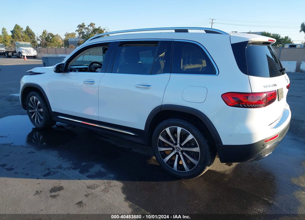 2020 MERCEDES-BENZ GLB 250 VIN: WDC4M4GB9LW012275