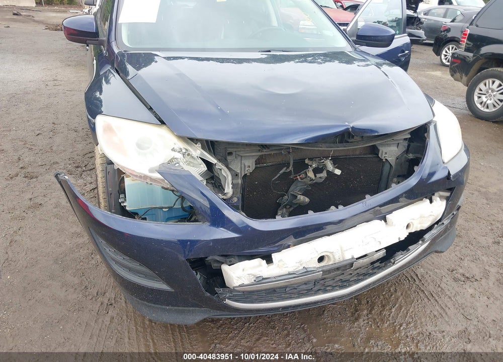 2010 MAZDA CX-9 TOURING VIN: JM3TB2MAXA0213407