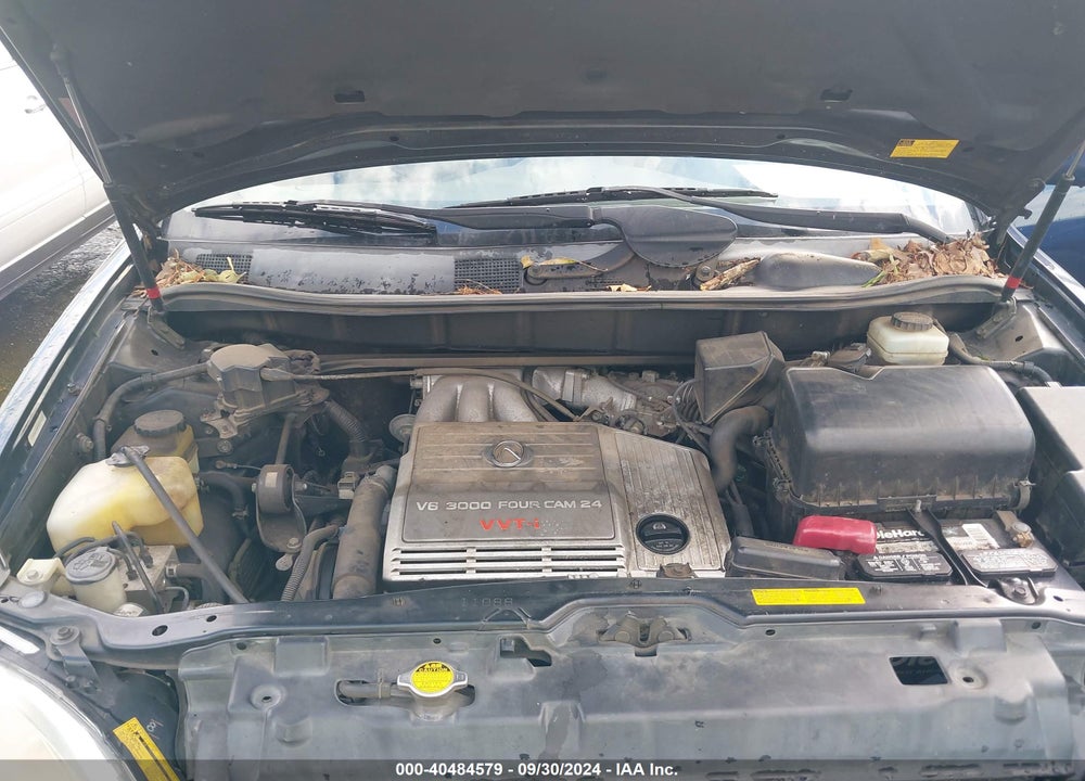 2002 LEXUS RX 300 VIN: JTJHF10U820275206