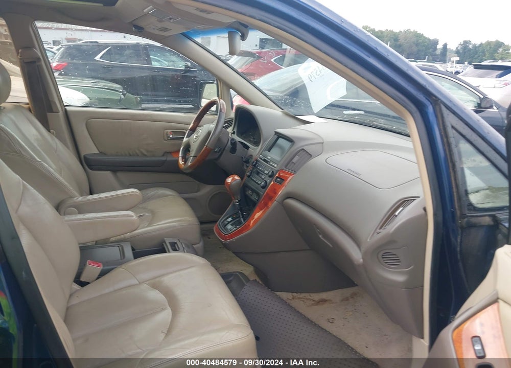 2002 LEXUS RX 300 VIN: JTJHF10U820275206