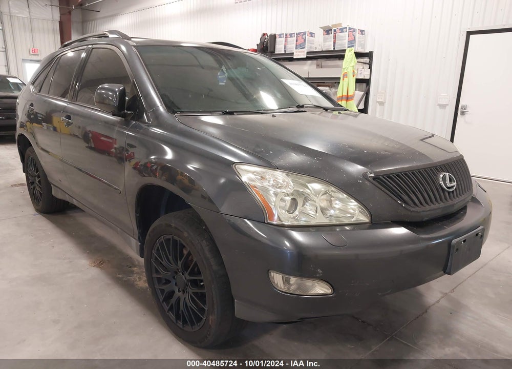 2007 LEXUS RX 350 VIN: 2T2GK31U07C007344