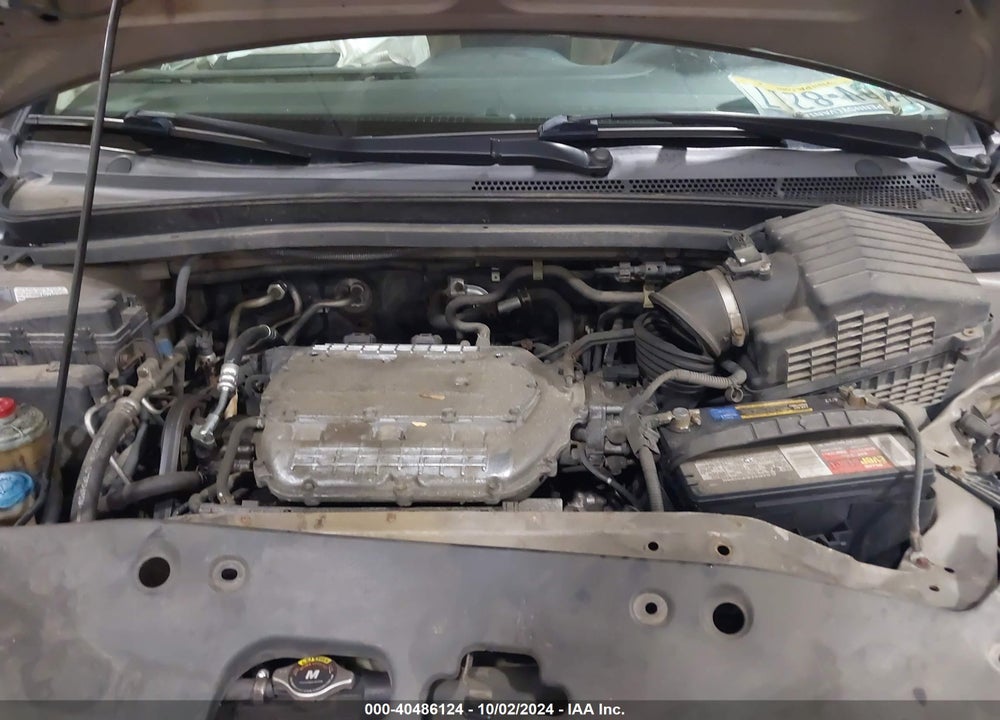 2007 HONDA ODYSSEY LX VIN: 5FNRL38227B025144