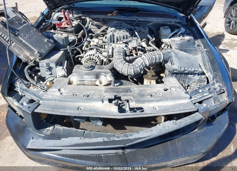 2006 FORD MUSTANG V6 VIN: 1ZVFT80N665244529