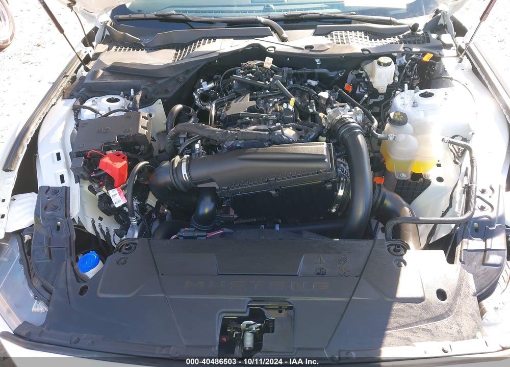 2024 FORD MUSTANG VIN: 1FA6P8TH6R5117609