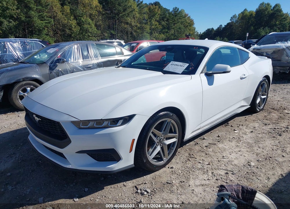 2024 FORD MUSTANG VIN: 1FA6P8TH6R5117609