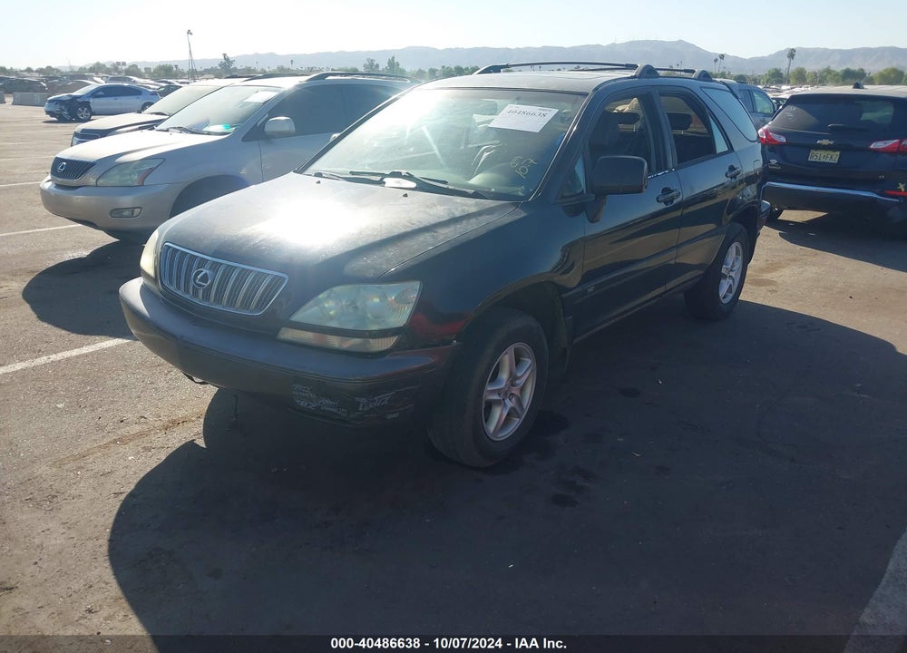 2002 LEXUS RX 300 VIN: JTJHF10U920250007