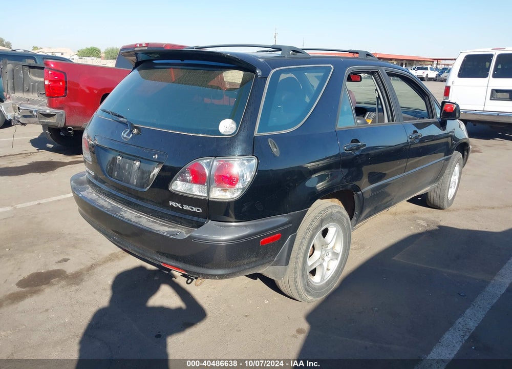 2002 LEXUS RX 300 VIN: JTJHF10U920250007