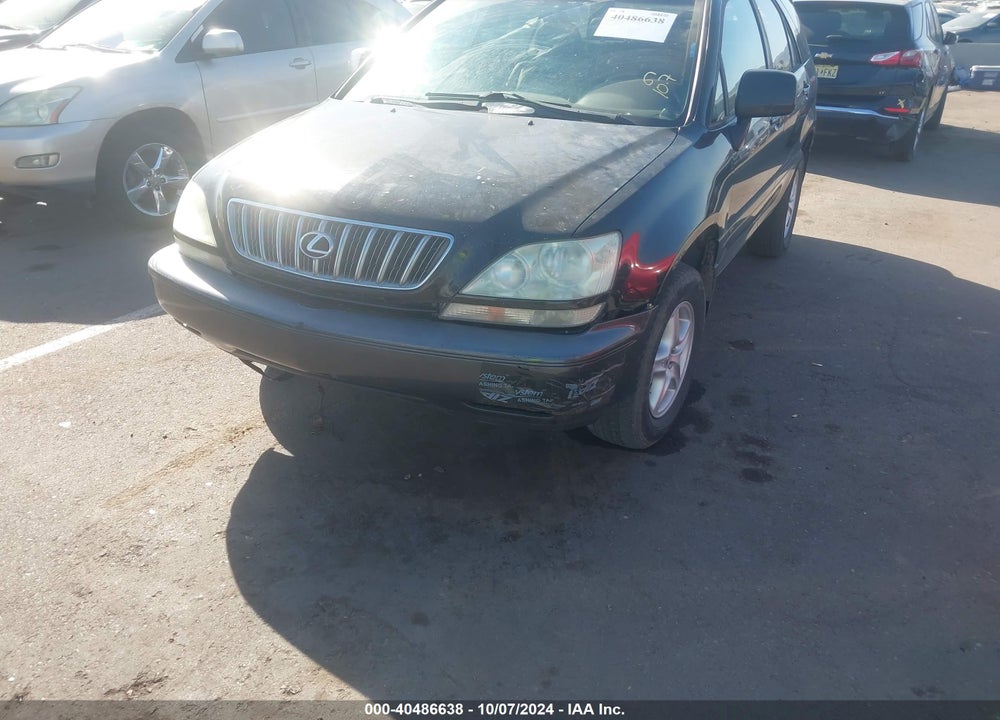2002 LEXUS RX 300 VIN: JTJHF10U920250007