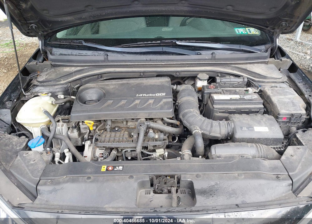2019 HYUNDAI ELANTRA ECO VIN: 5NPD94LA1KH413845