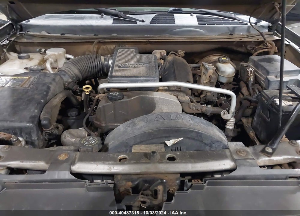 2007 CHEVROLET TRAILBLAZER LS VIN: 1GNDT13S972161237