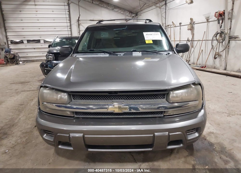 2007 CHEVROLET TRAILBLAZER LS VIN: 1GNDT13S972161237