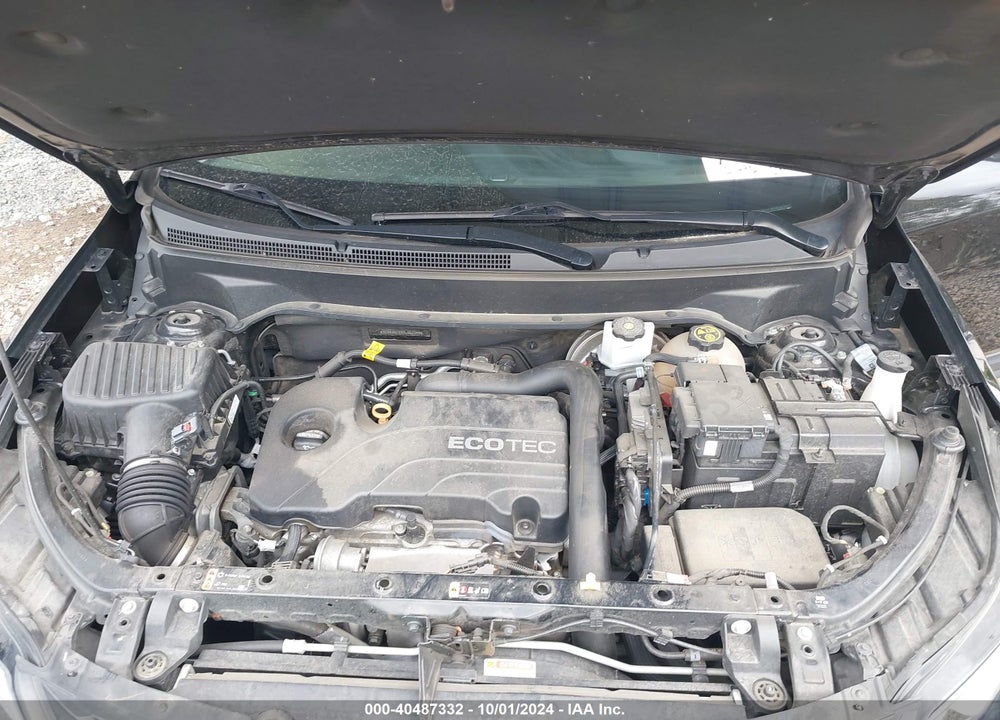 2019 CHEVROLET EQUINOX LT VIN: 3GNAXKEV4KL262245