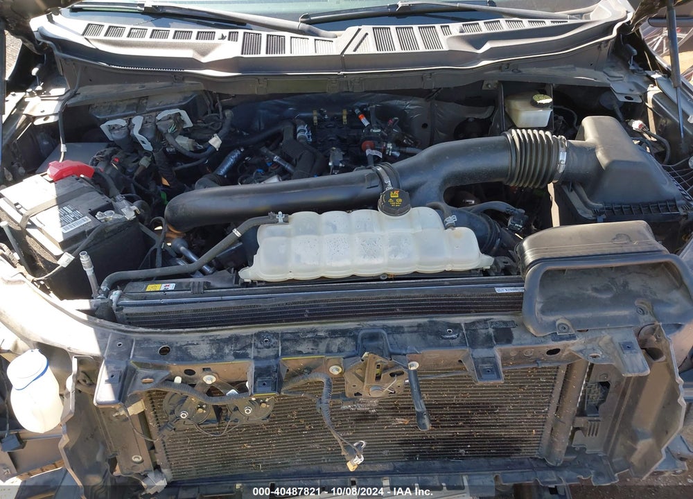 2021 FORD F-150 XL VIN: 1FTFW1E80MKE92245