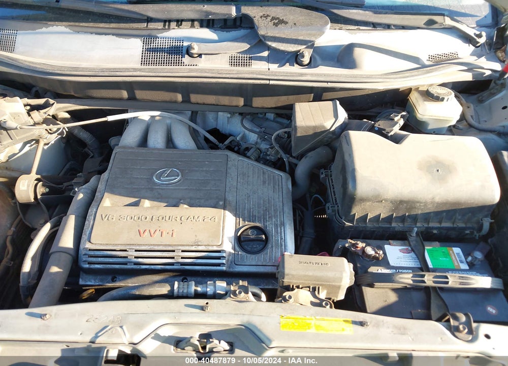 2001 LEXUS RX 300 VIN: JTJGF10U910107603
