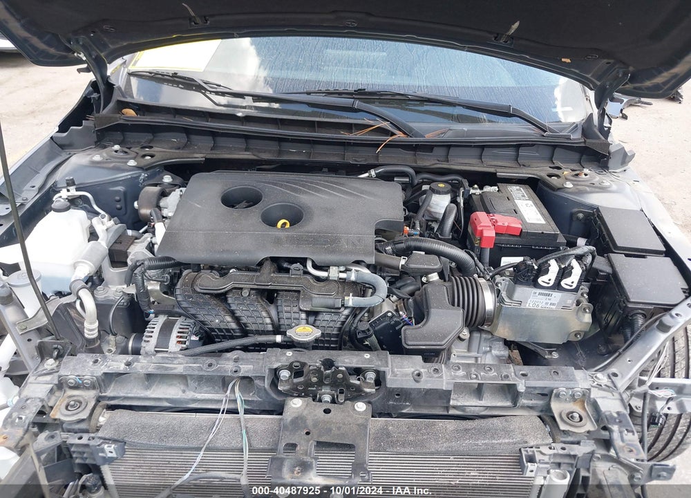 2019 NISSAN ALTIMA 2.5 SV VIN: 1N4BL4DV9KC203909