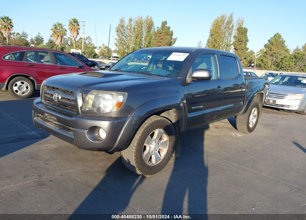 2009 TOYOTA TACOMA BASE V6 VIN: 3TMLU42N49M036902
