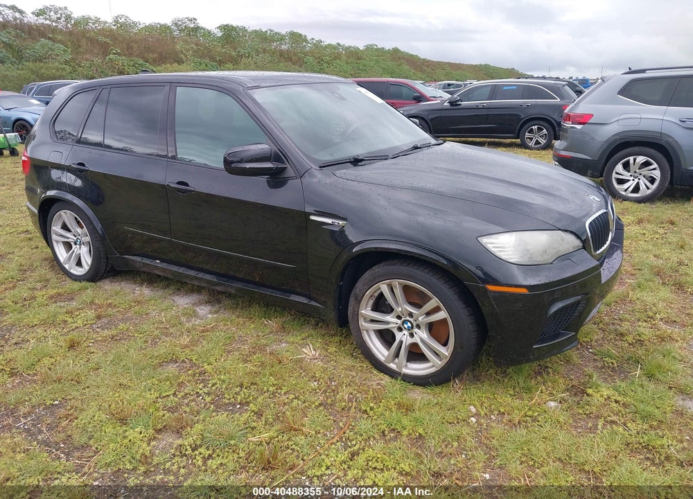 2010 BMW X5 M VIN: 5YMGY0C54ALK25320