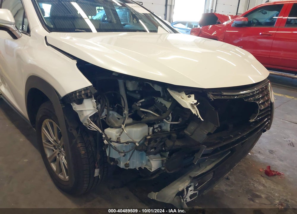 2020 LEXUS NX 300 VIN: JTJAARBZ3L2178296