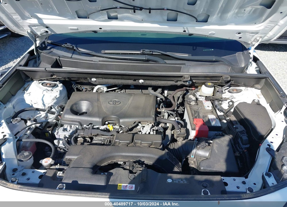 2019 TOYOTA RAV4 LE VIN: JTMG1RFV4KJ018825