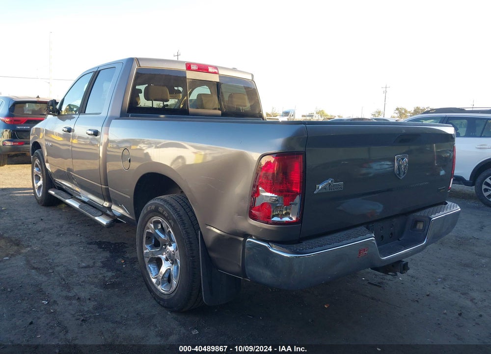 2010 DODGE RAM 1500 SLT/SPORT/TRX VIN: 1D7RB1GP6AS115630