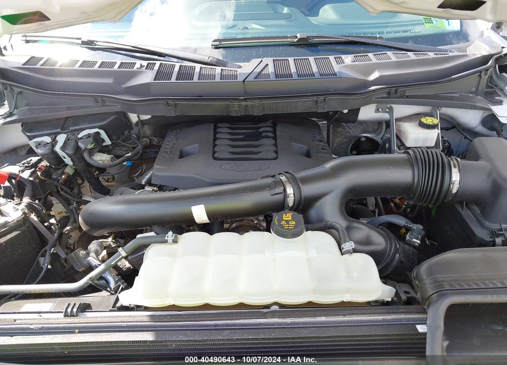 2021 FORD F-150 XLT VIN: 1FTFW1E80MFC24434