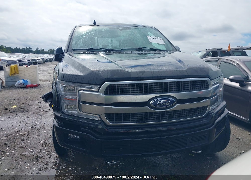2020 FORD F-150 PLATINUM VIN: 1FTEW1E4XLFA41792