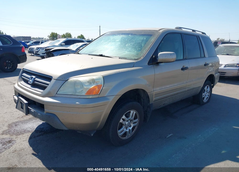 2005 HONDA PILOT EX-L VIN: 5FNYF18545B059813
