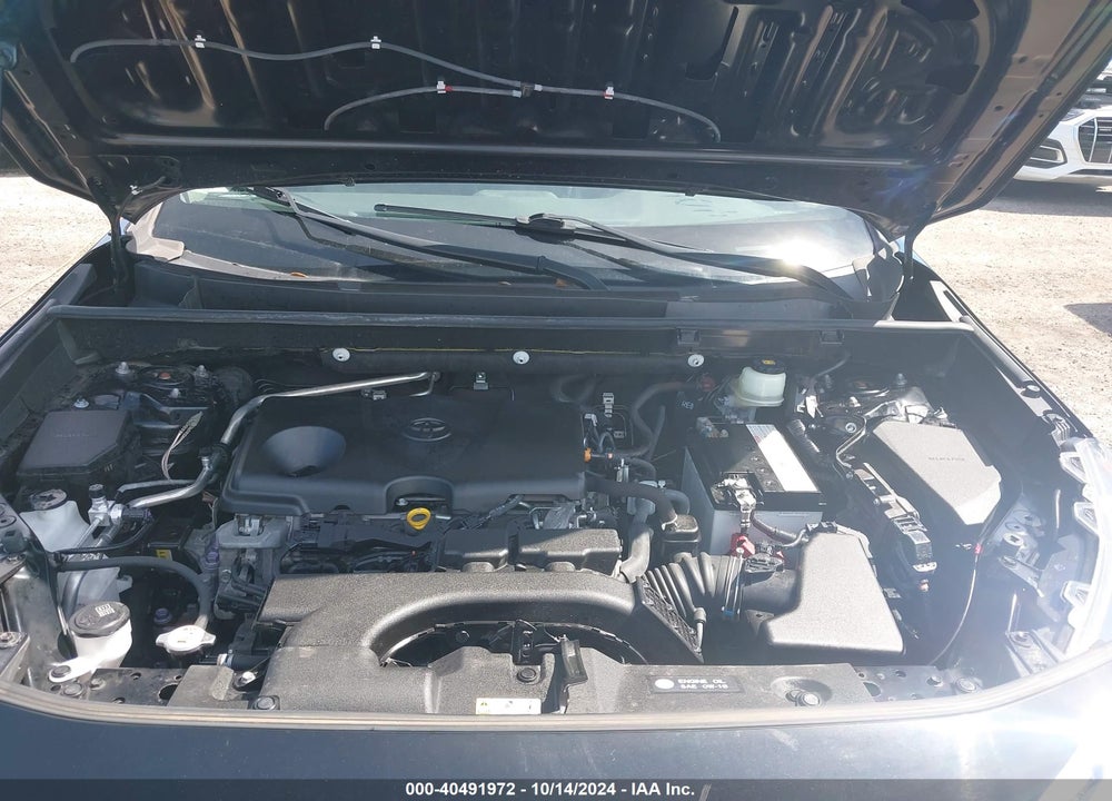 2019 TOYOTA RAV4 XLE VIN: JTMW1RFV4KD030953