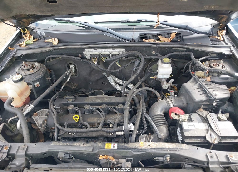 2011 FORD ESCAPE XLT VIN: 1FMCU0D77BKA65343