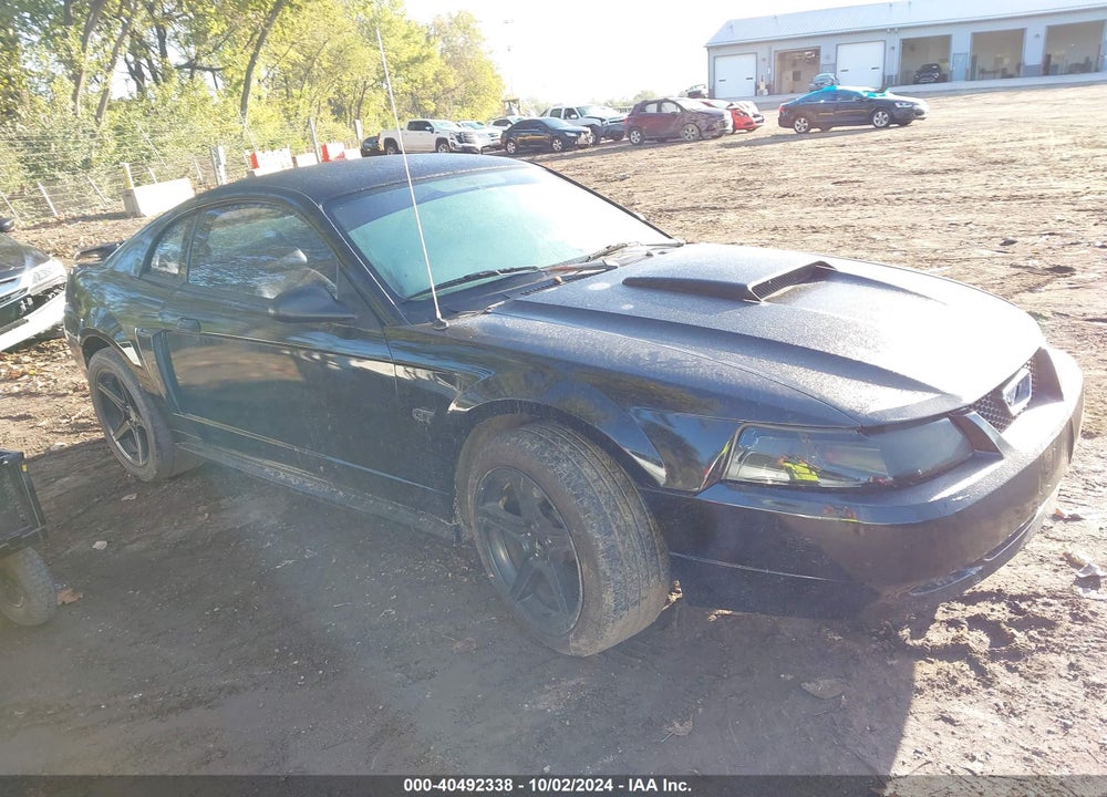 2002 FORD MUSTANG VIN: 1FAFP40442F111334