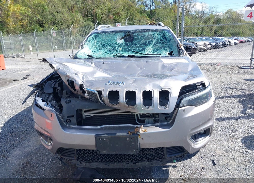 2019 JEEP CHEROKEE LIMITED 4X4 VIN: 1C4PJMDX2KD113924