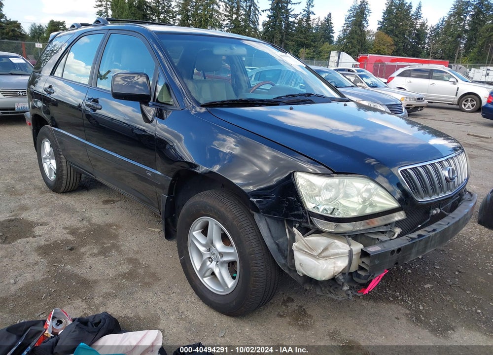 2002 LEXUS RX 300 VIN: JTJGF10U220130724
