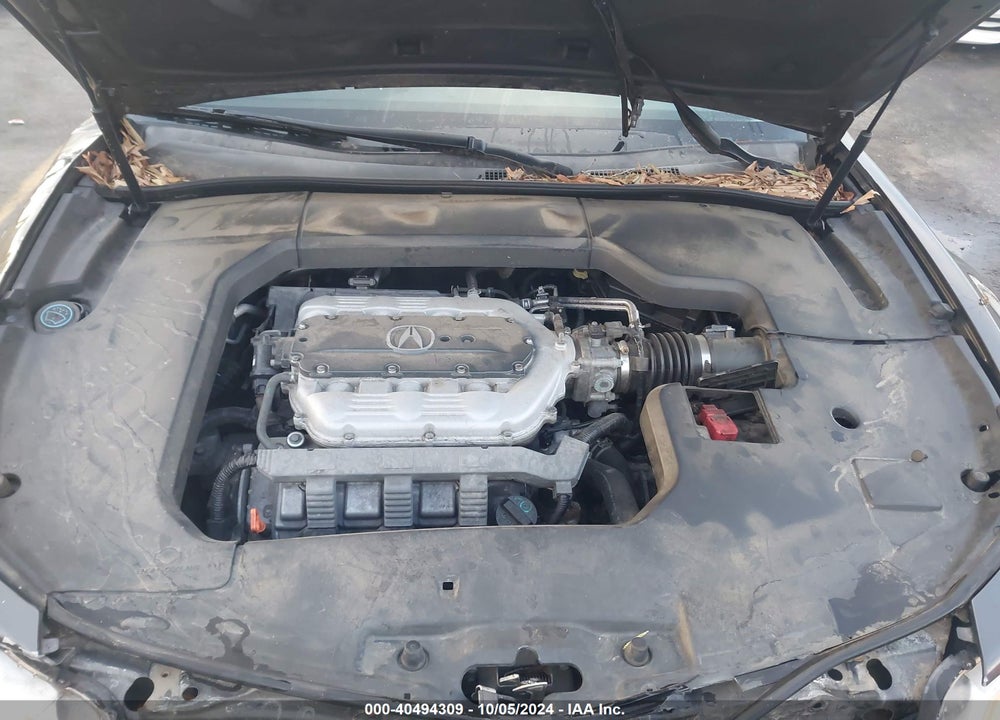 2009 ACURA TL 3.5 VIN: 19UUA86539A013110