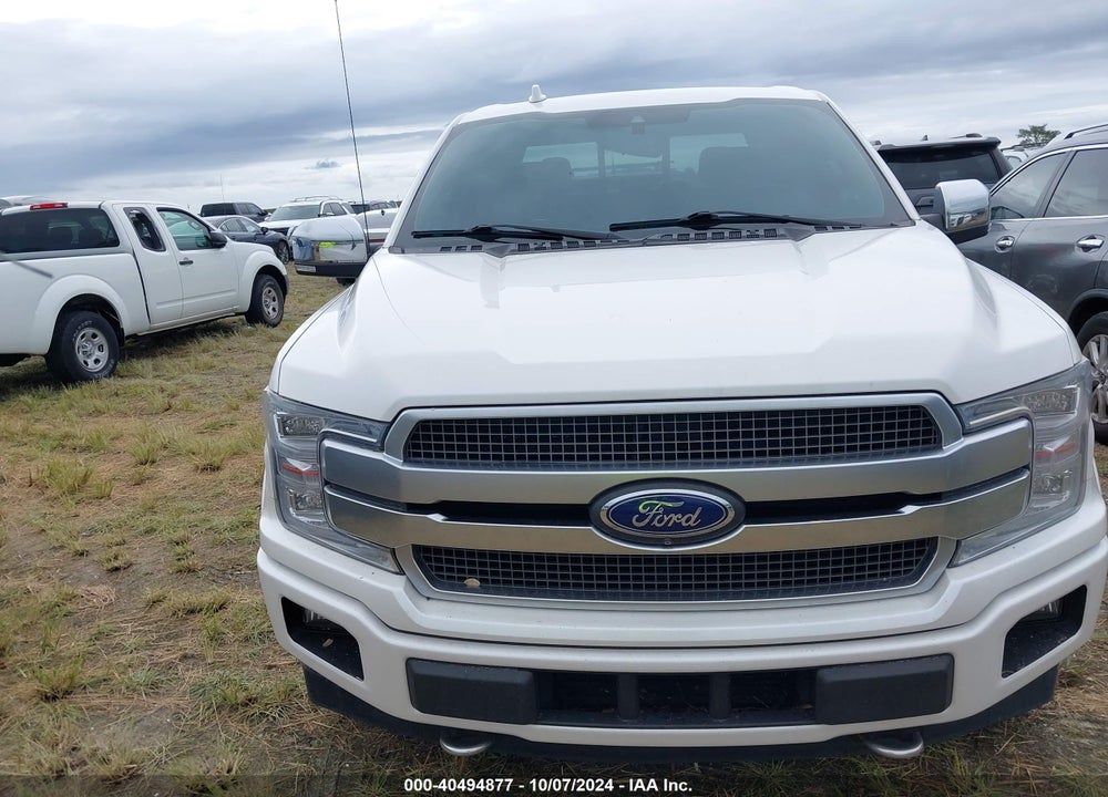 2019 FORD F-150 PLATINUM VIN: 1FTEW1E44KFB77057