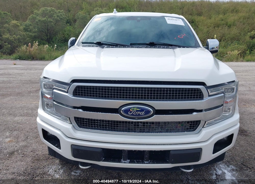 2019 FORD F-150 PLATINUM VIN: 1FTEW1E44KFB77057