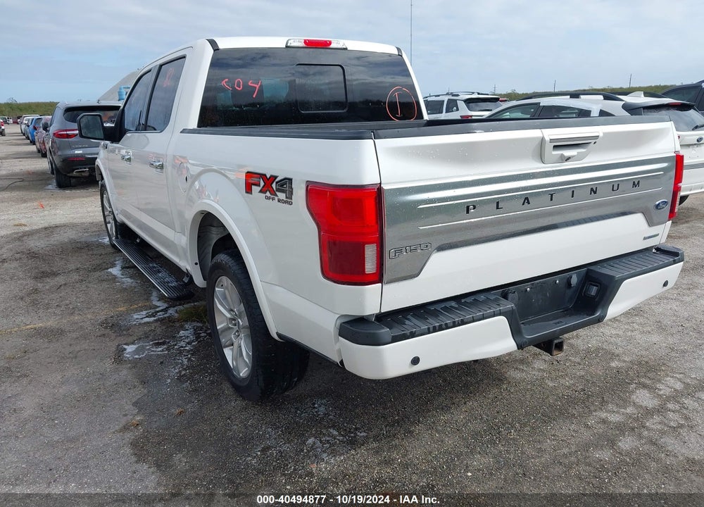 2019 FORD F-150 PLATINUM VIN: 1FTEW1E44KFB77057