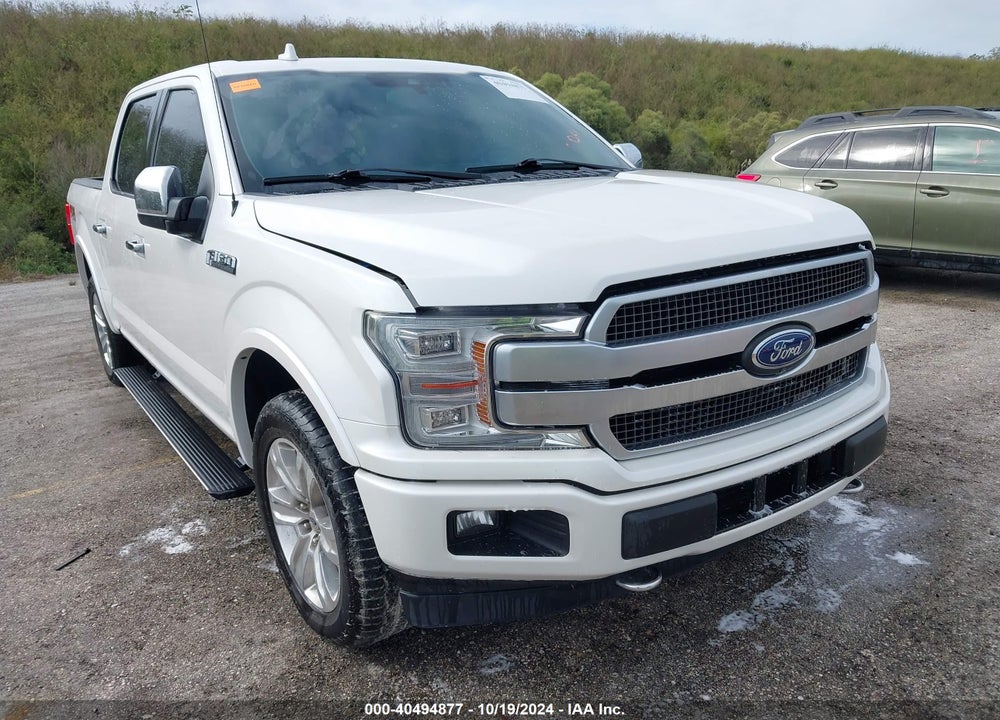 2019 FORD F-150 PLATINUM VIN: 1FTEW1E44KFB77057