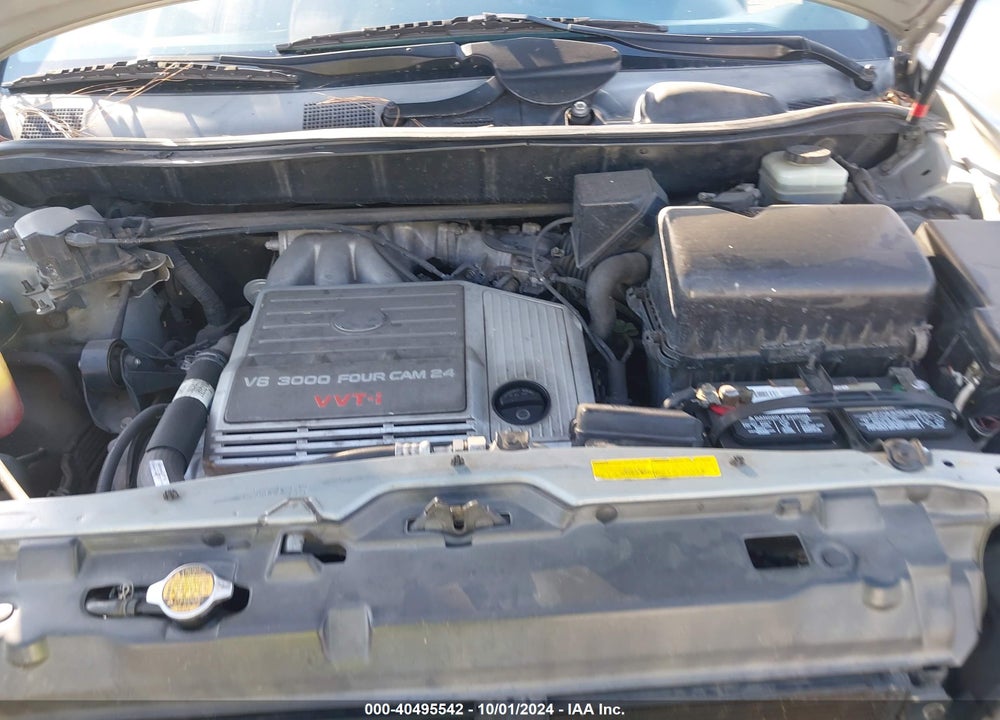 2002 LEXUS RX 300 VIN: JTJGF10U620120133