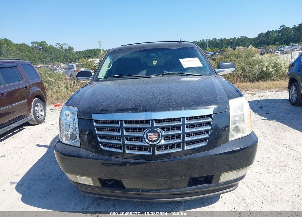2007 CADILLAC ESCALADE STANDARD VIN: 1GYFK63817R321490