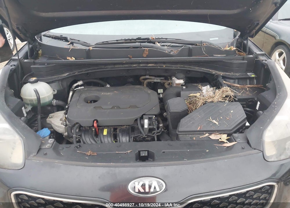 2017 KIA SPORTAGE EX VIN: KNDPN3AC5H7226239